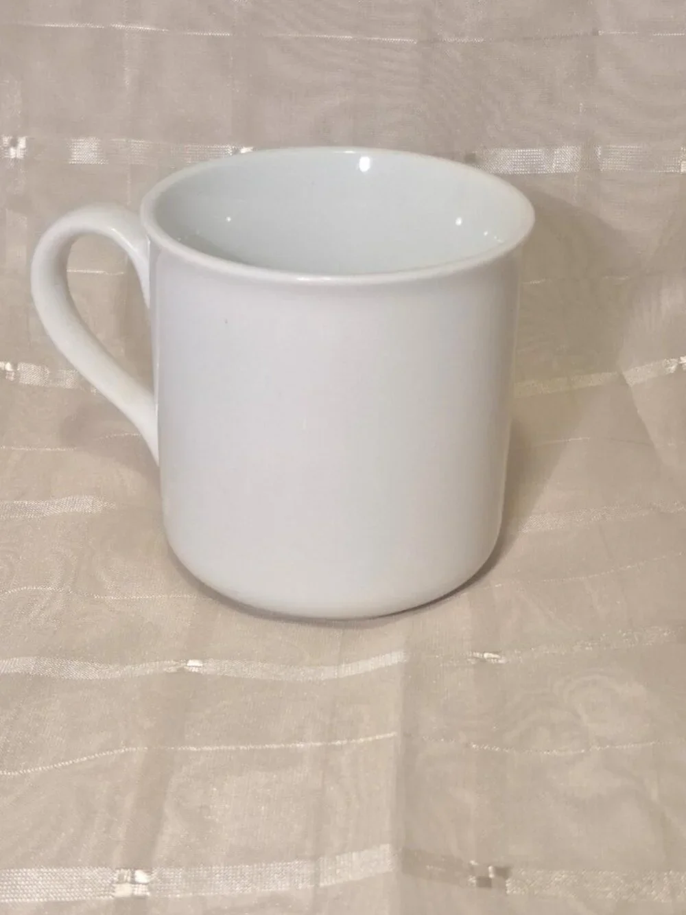 VINTAGE WEST VIRGINIA SOUVENIR COFFEE CUP MUG